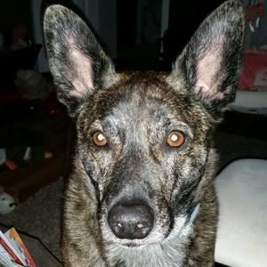 Meet your Posher, Savannah